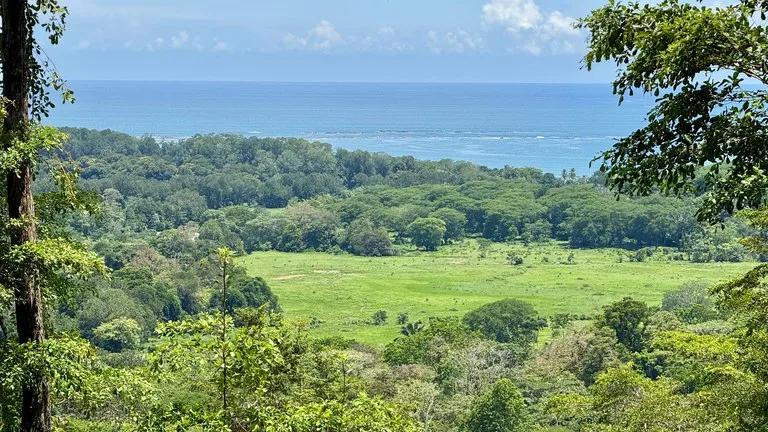 Exclusive and Unique Ocean Views lot in the Hills of Uvita!, photo 7