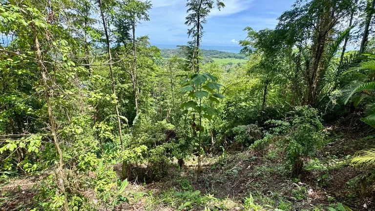 Exclusive and Unique Ocean Views lot in the Hills of Uvita!, photo 9