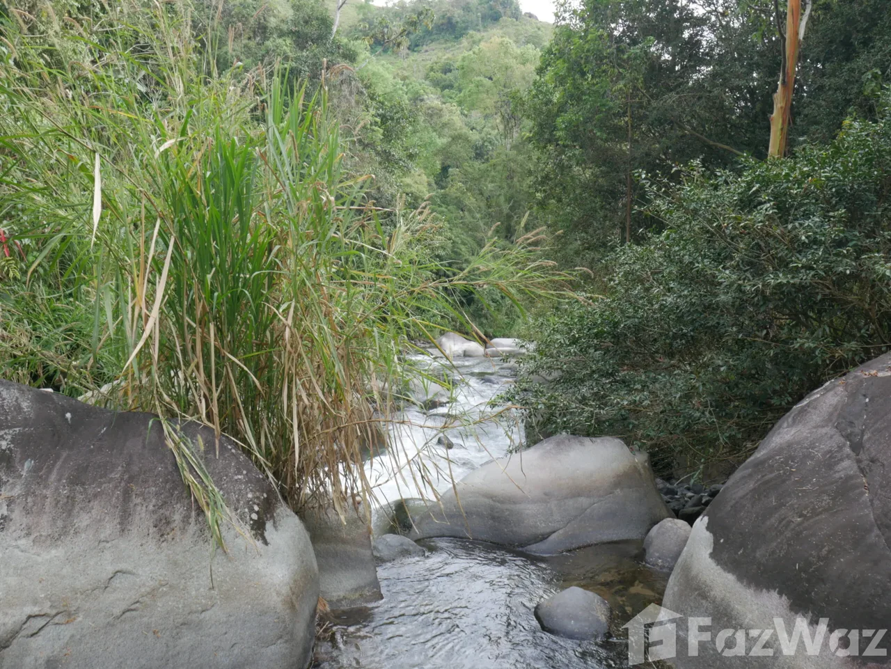 2 Bedroom House for Sale in Perez Zeledon, San Jose for $350,000, photo 15