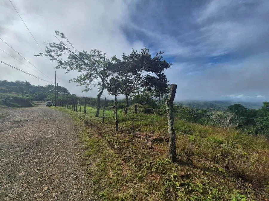 Finca en San Blas, Perez Zeledon. - Venta en Perez Zeledón, photo 12