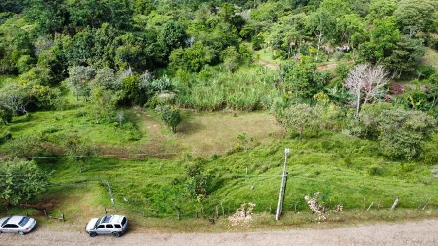 Finca en San Blas, Perez Zeledon. - Venta en Perez Zeledón, photo 13
