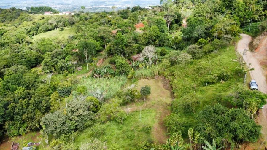 Finca en San Blas, Perez Zeledon. - Venta en Perez Zeledón, photo 14