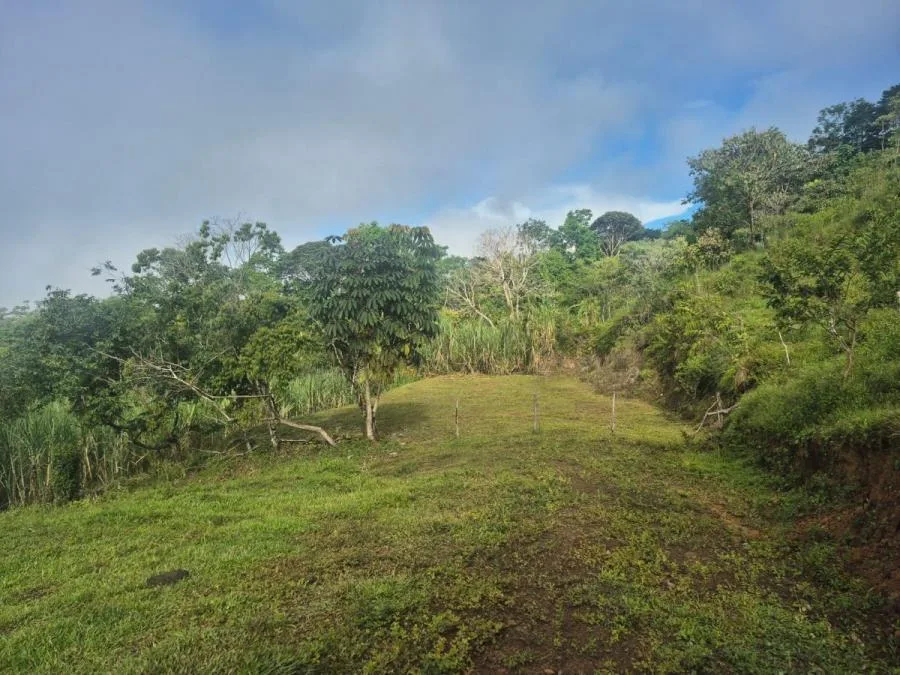 Finca en San Blas, Perez Zeledon. - Venta en Perez Zeledón, photo 9