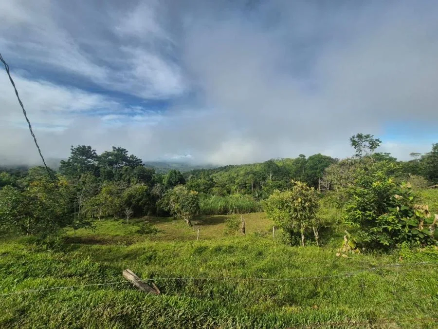 Finca en San Blas, Perez Zeledon. - Venta en Perez Zeledón, photo 10