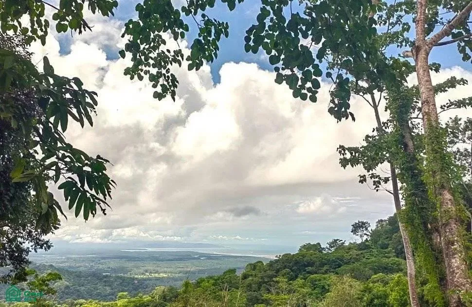 ,, Puntarenas