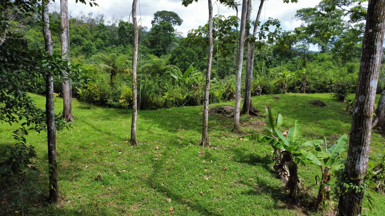 0.6-ACRE LOT WITH UTILITIES IN PLACE IN THE HEART OF THE DIAMANTE VALLEY, photo 11