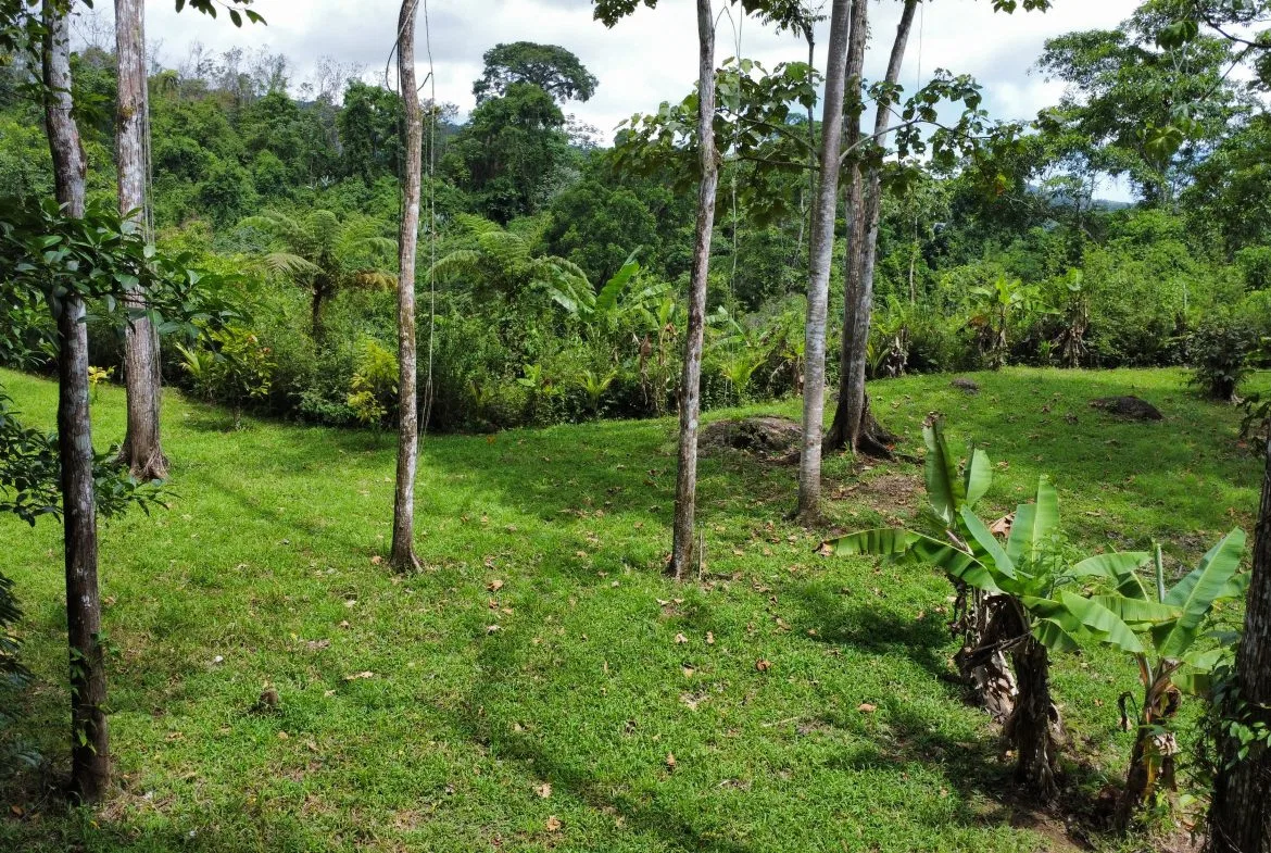 0.6-ACRE LOT WITH UTILITIES IN PLACE IN THE HEART OF THE DIAMANTE VALLEY, photo 12