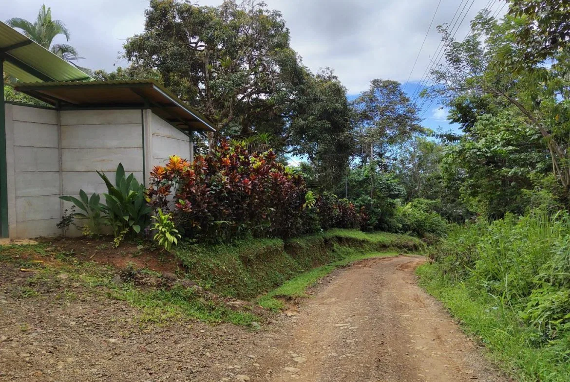 0.6-ACRE LOT WITH UTILITIES IN PLACE IN THE HEART OF THE DIAMANTE VALLEY, photo 16