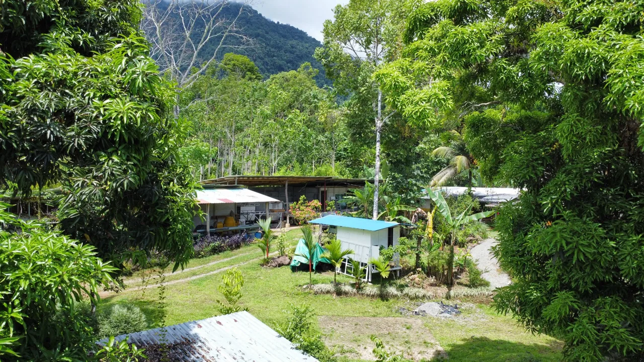0.6-ACRE LOT WITH UTILITIES IN PLACE IN THE HEART OF THE DIAMANTE VALLEY, photo 19