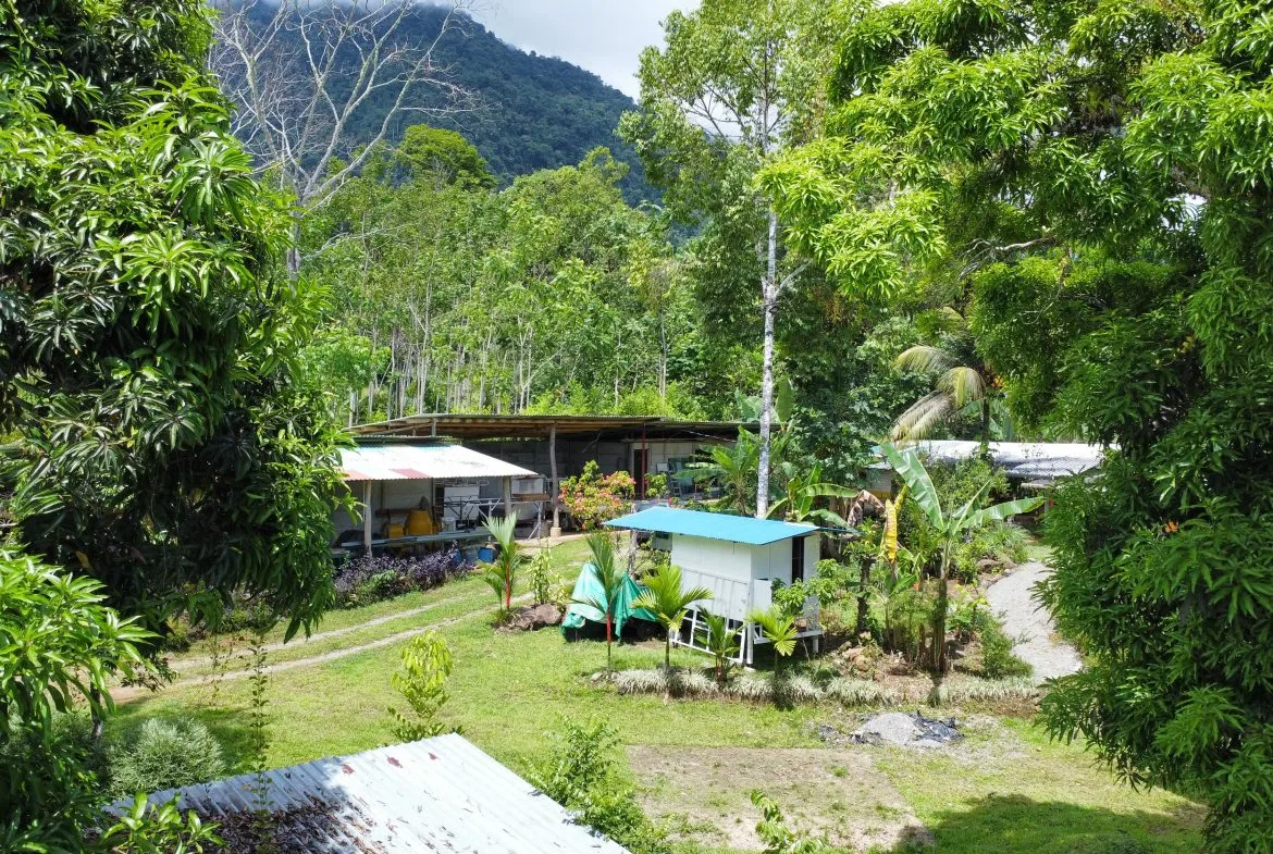 0.6-ACRE LOT WITH UTILITIES IN PLACE IN THE HEART OF THE DIAMANTE VALLEY, photo 20