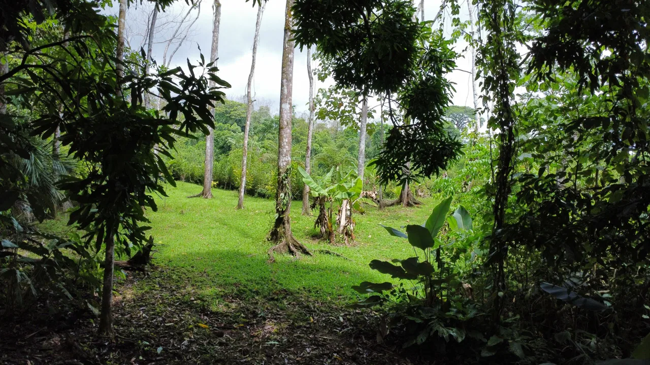 0.6-ACRE LOT WITH UTILITIES IN PLACE IN THE HEART OF THE DIAMANTE VALLEY, photo 23