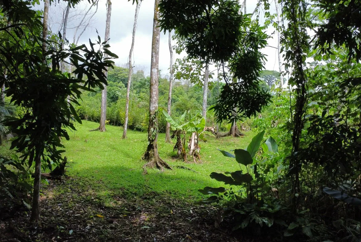0.6-ACRE LOT WITH UTILITIES IN PLACE IN THE HEART OF THE DIAMANTE VALLEY, photo 24