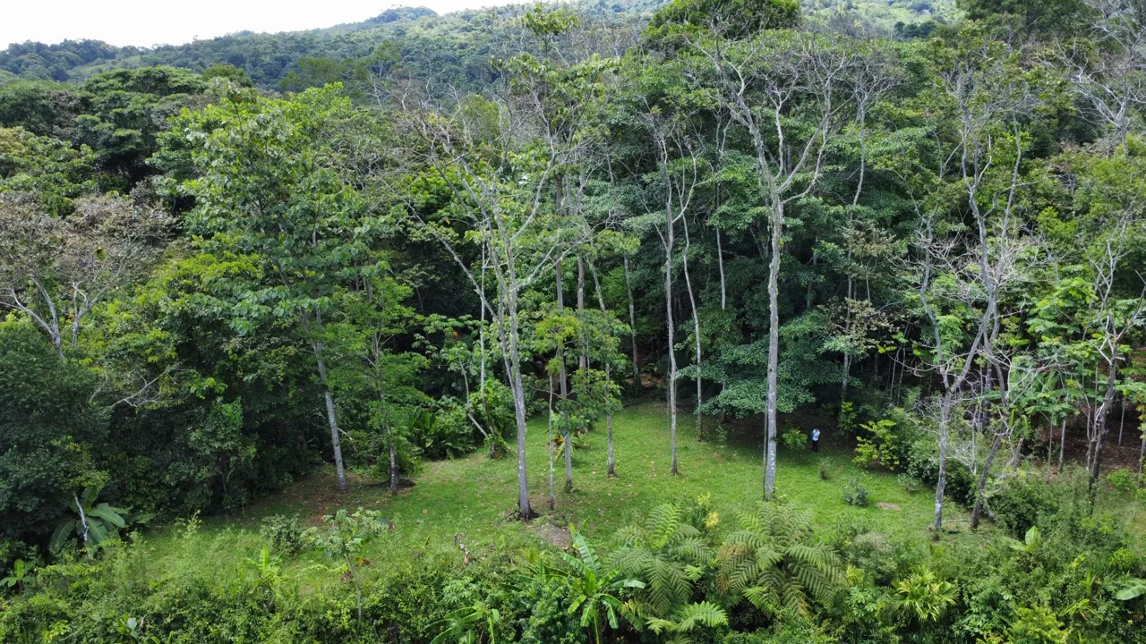 0.6-ACRE LOT WITH UTILITIES IN PLACE IN THE HEART OF THE DIAMANTE VALLEY, photo 9