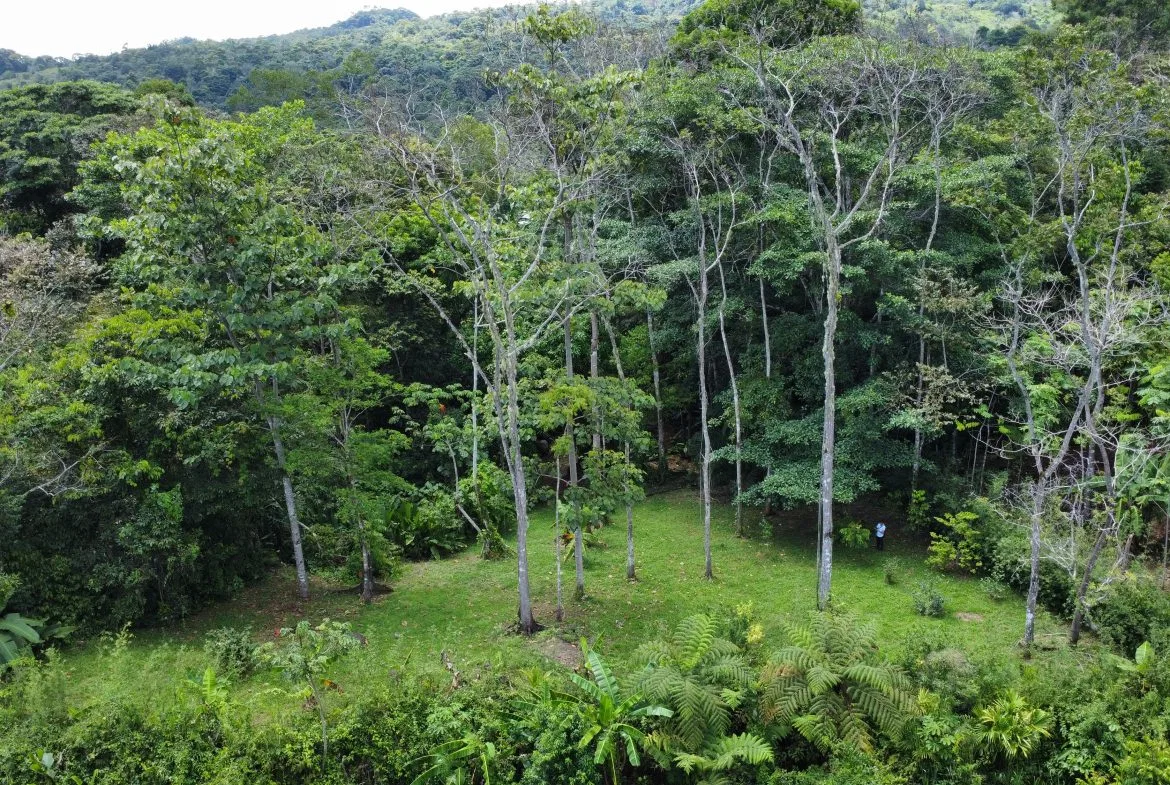 0.6-ACRE LOT WITH UTILITIES IN PLACE IN THE HEART OF THE DIAMANTE VALLEY, photo 10