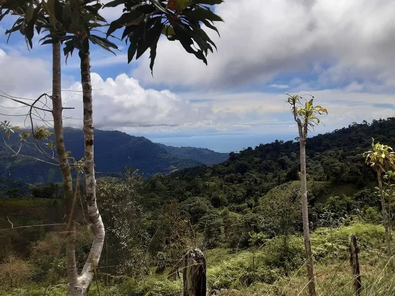 Finca Tesoro Escondido - The Jewel of Uvita, photo 2