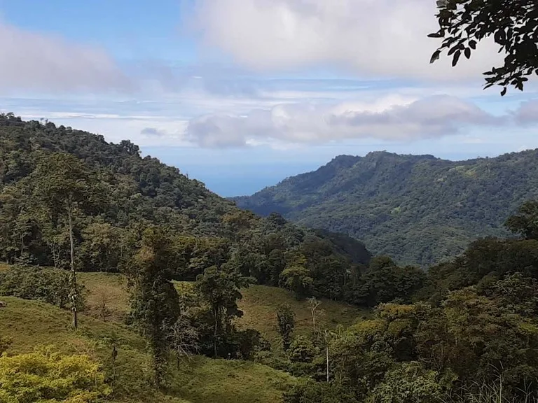 Finca Tesoro Escondido - The Jewel of Uvita, photo 3
