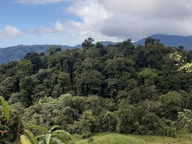 Finca Tesoro Escondido - The Jewel of Uvita, photo 8