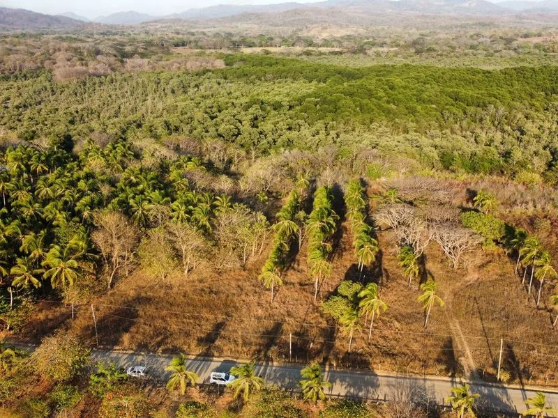 Land For Sale in Junquillal, photo 13