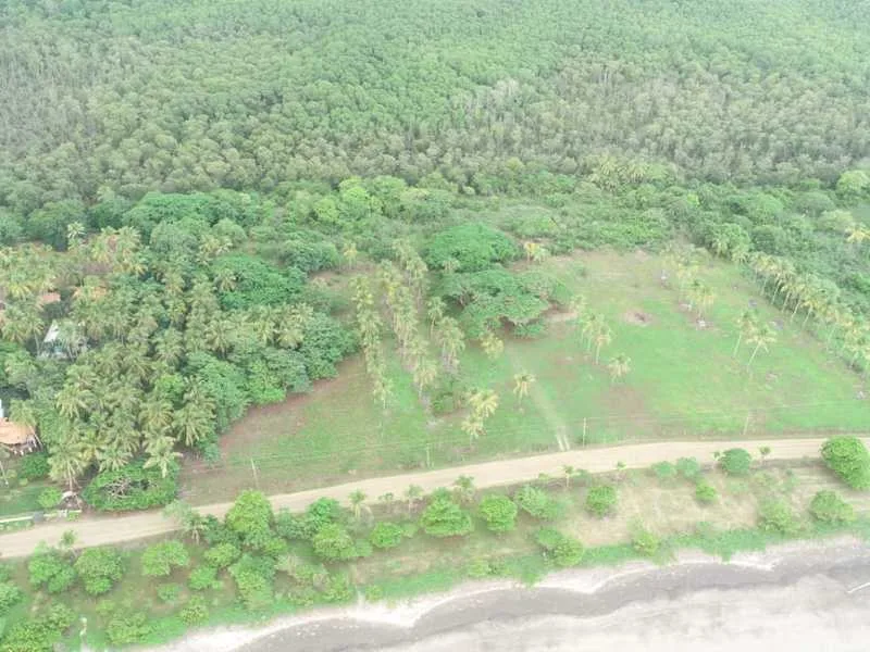 Land For Sale in Junquillal, photo 15