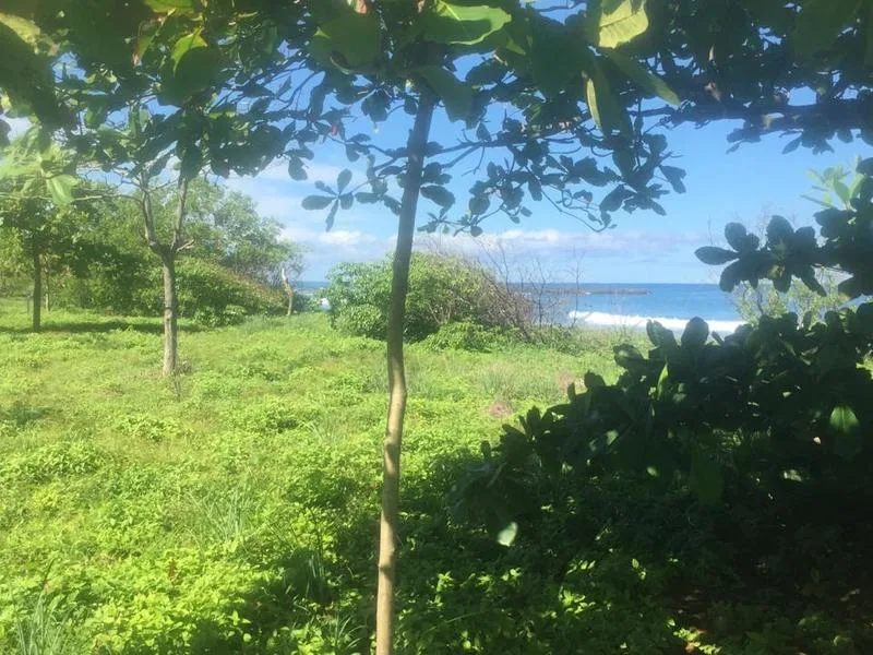 Land For Sale in Junquillal, photo 7