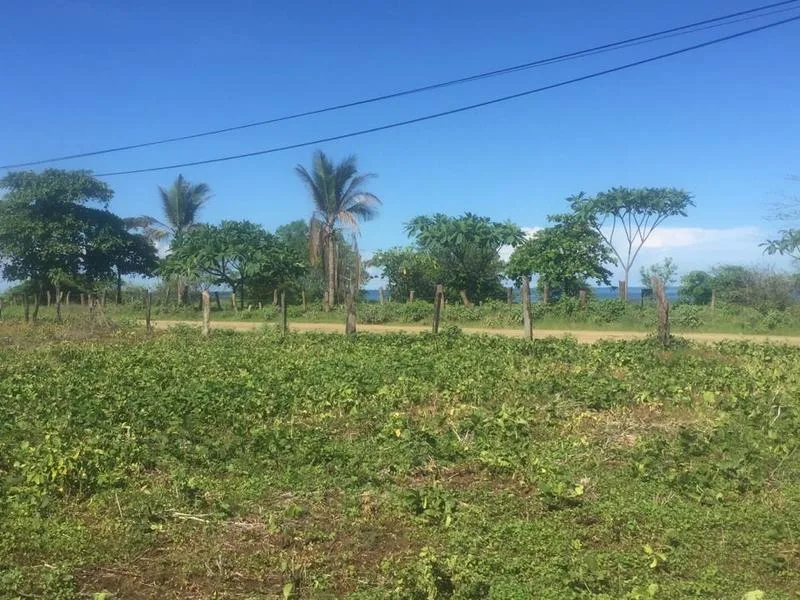 Land For Sale in Junquillal, photo 8