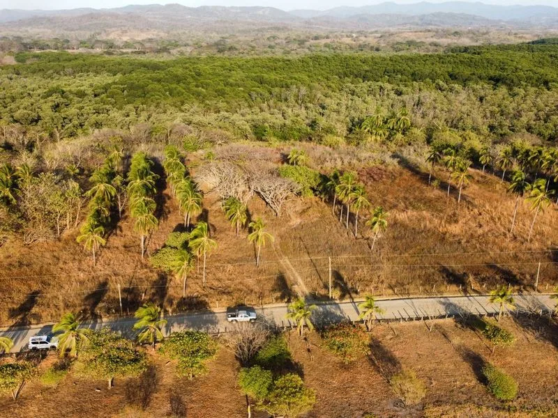 Land For Sale in Junquillal, photo 10