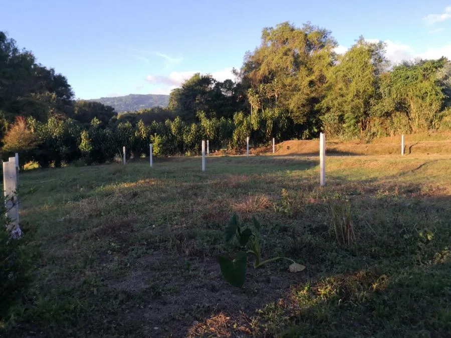 Venta de Lote en San Jose de La Montaña  - Venta en San Jose de La MOntaña
