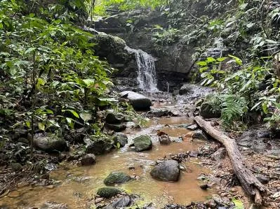 Finca Gilguero – A Peaceful Jungle Retreat with Ocean Views, Fresh Climate, and Endless Potential, photo 2