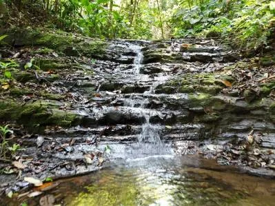 Finca Gilguero – A Peaceful Jungle Retreat with Ocean Views, Fresh Climate, and Endless Potential, photo 4