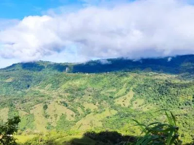 Finca Gilguero – A Peaceful Jungle Retreat with Ocean Views, Fresh Climate, and Endless Potential, photo 5