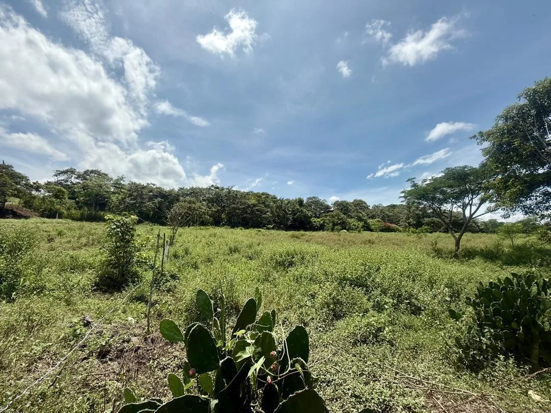 Lote en Venta en Guacima ,Alajuela, photo 2