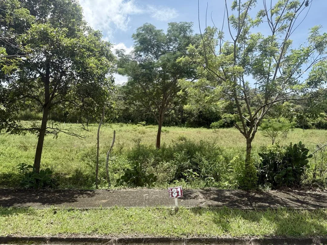 Lote en Venta en Guacima ,Alajuela, photo 3