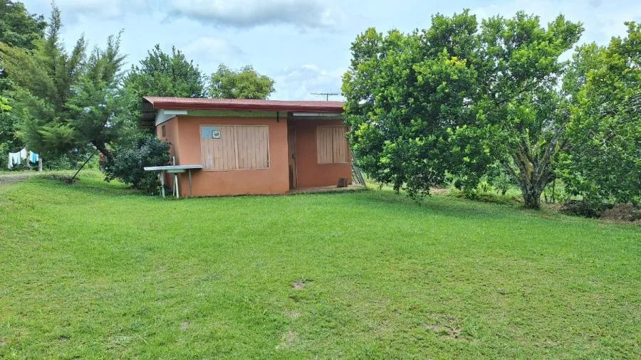 FINCA 5.5HA CON 2 CASAS Y AGUA TODO EL AÑO-PZ,COSTA RICA. - Venta en Perez Zeledón, photo 7