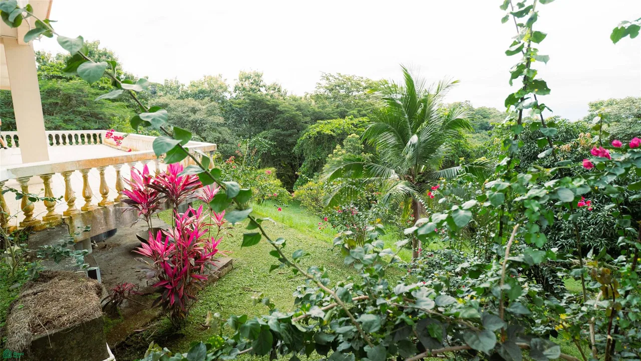 Casa con vistas al mar-GANGA, photo 6
