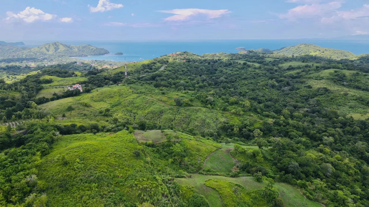 Land views of the Pacific