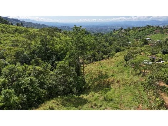 Panoramic View Lot with Tranquil Creek and Easy Access to San Isidro, photo 8