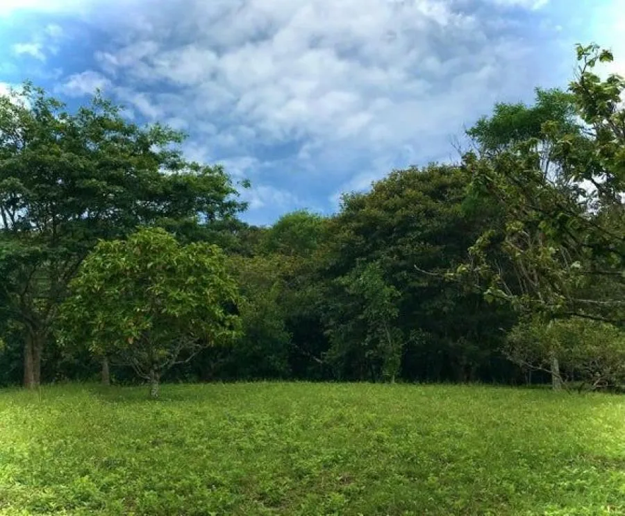 Venta de hermoso terreno en Ciudad Colón. RAH 26-1024 NR - Venta en Colón, photo 2