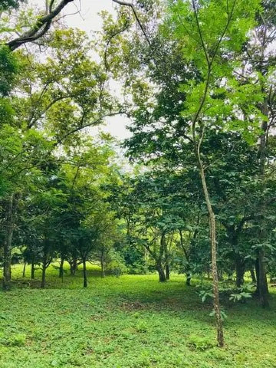 Venta de hermoso terreno en Ciudad Colón. RAH 26-1024 NR - Venta en Colón, photo 3