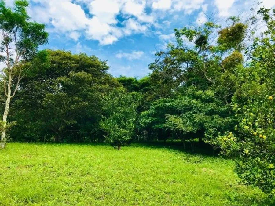 Venta de hermoso terreno en Ciudad Colón. RAH 26-1024 NR - Venta en Colón, photo 7