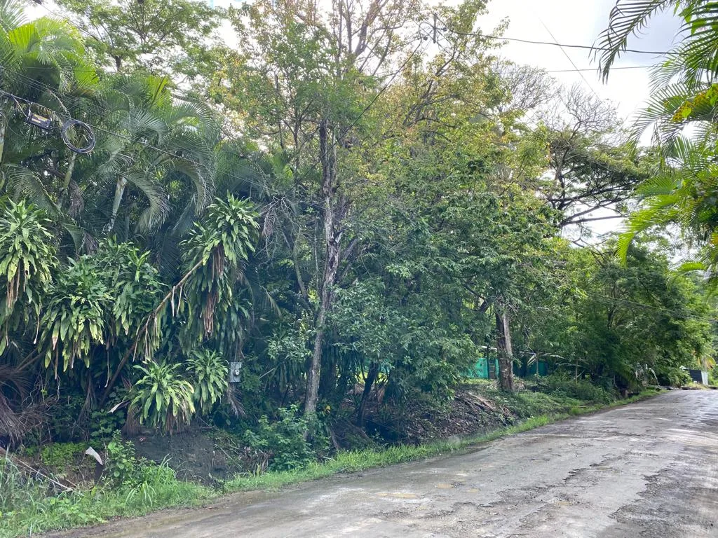 Playa Hermosa Development Property, photo 3