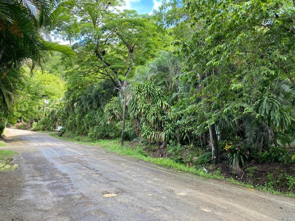 Playa Hermosa Development Property, photo 4
