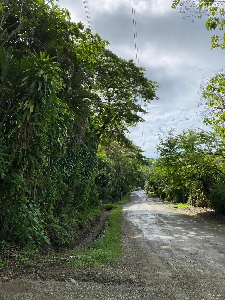 Playa Hermosa Development Property, photo 5