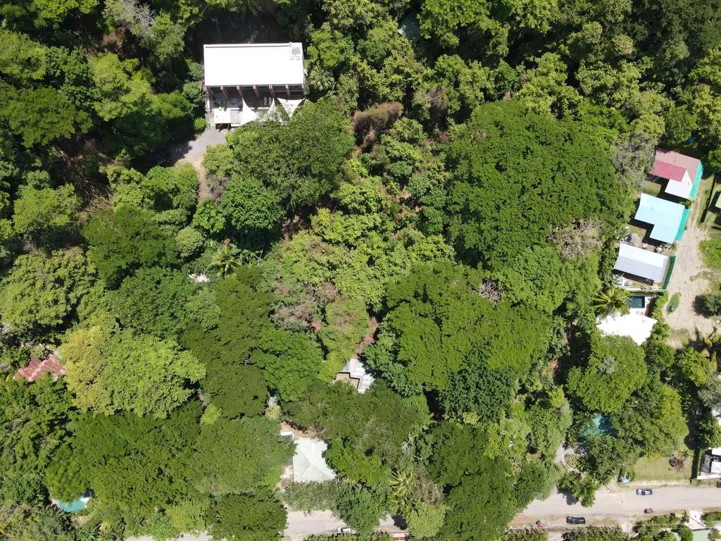 Playa Hermosa Development Property, photo 6