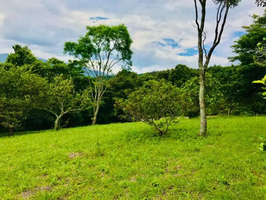 Extraordinario terreno a la Venta para construcción residencial (AC MLS#26-1024) - Venta en Colón, photo 9