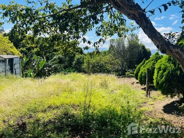 Land for Sale at Los Angeles San Rafael for $107,296, photo 8