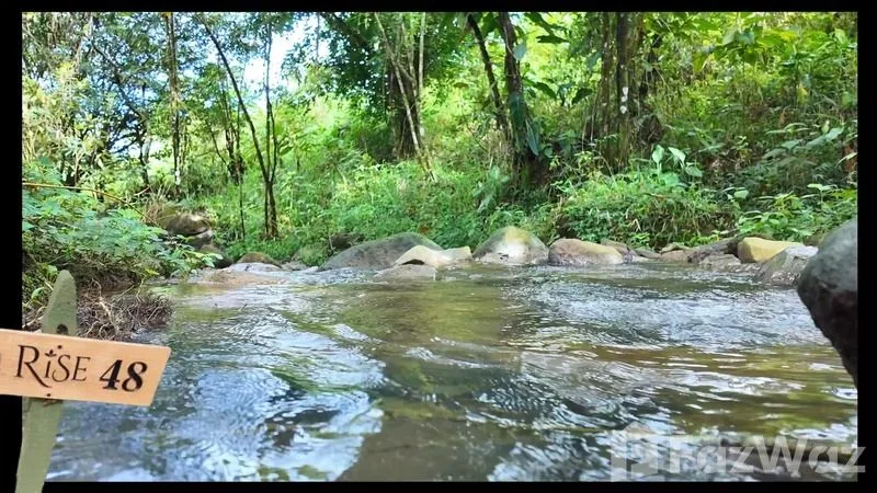 Land for Sale in Perez Zeledon, San Jose for $230,000, photo 12