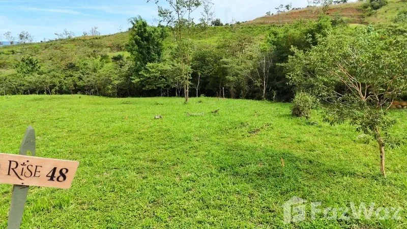 Land for Sale in Perez Zeledon, San Jose for $230,000, photo 13