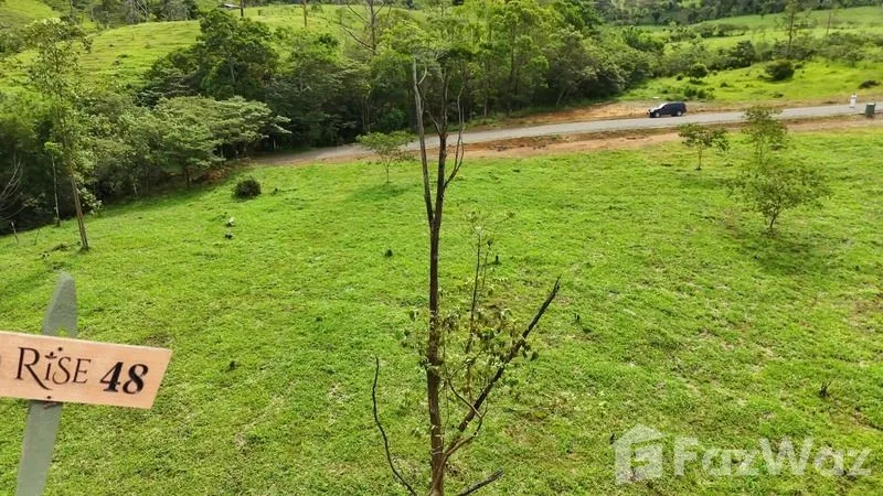 Land for Sale in Perez Zeledon, San Jose for $230,000, photo 5