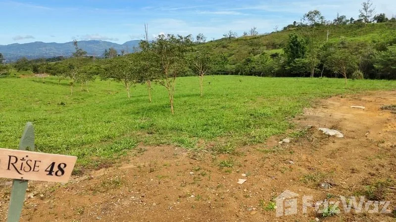 Land for Sale in Perez Zeledon, San Jose for $230,000, photo 9