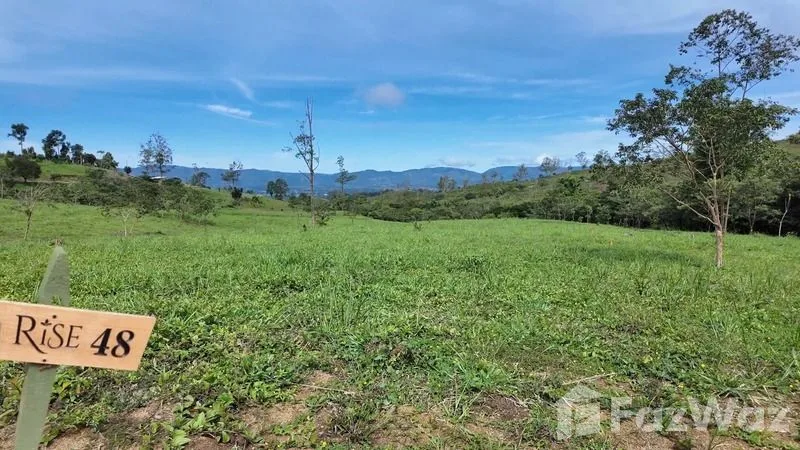 Land for Sale in Perez Zeledon, San Jose for $230,000, photo 10